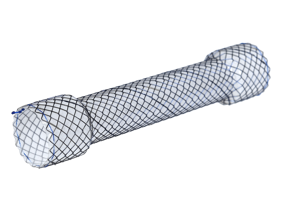 Bonastent® Esophageal Stent