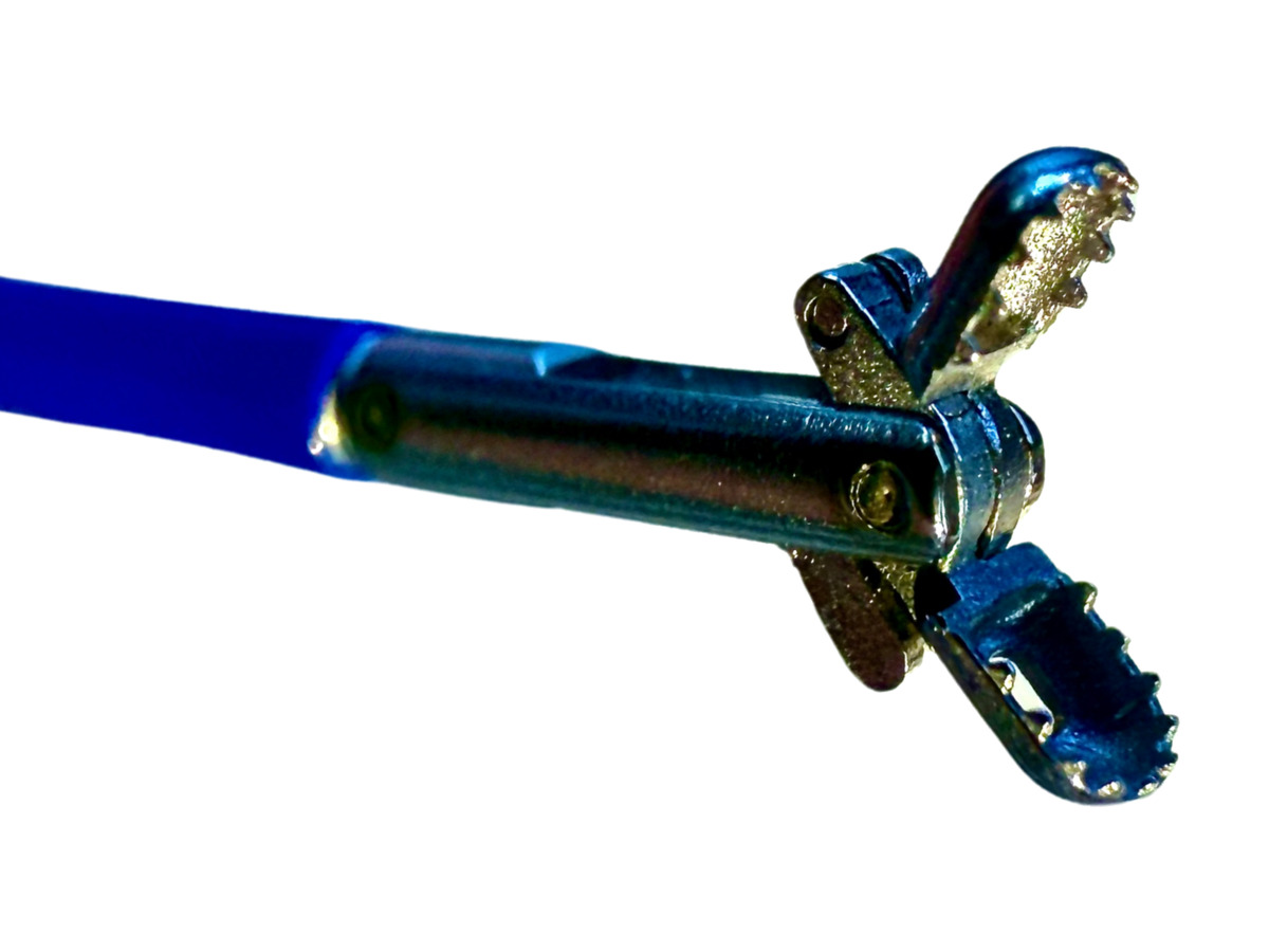 Biopsy Forceps
