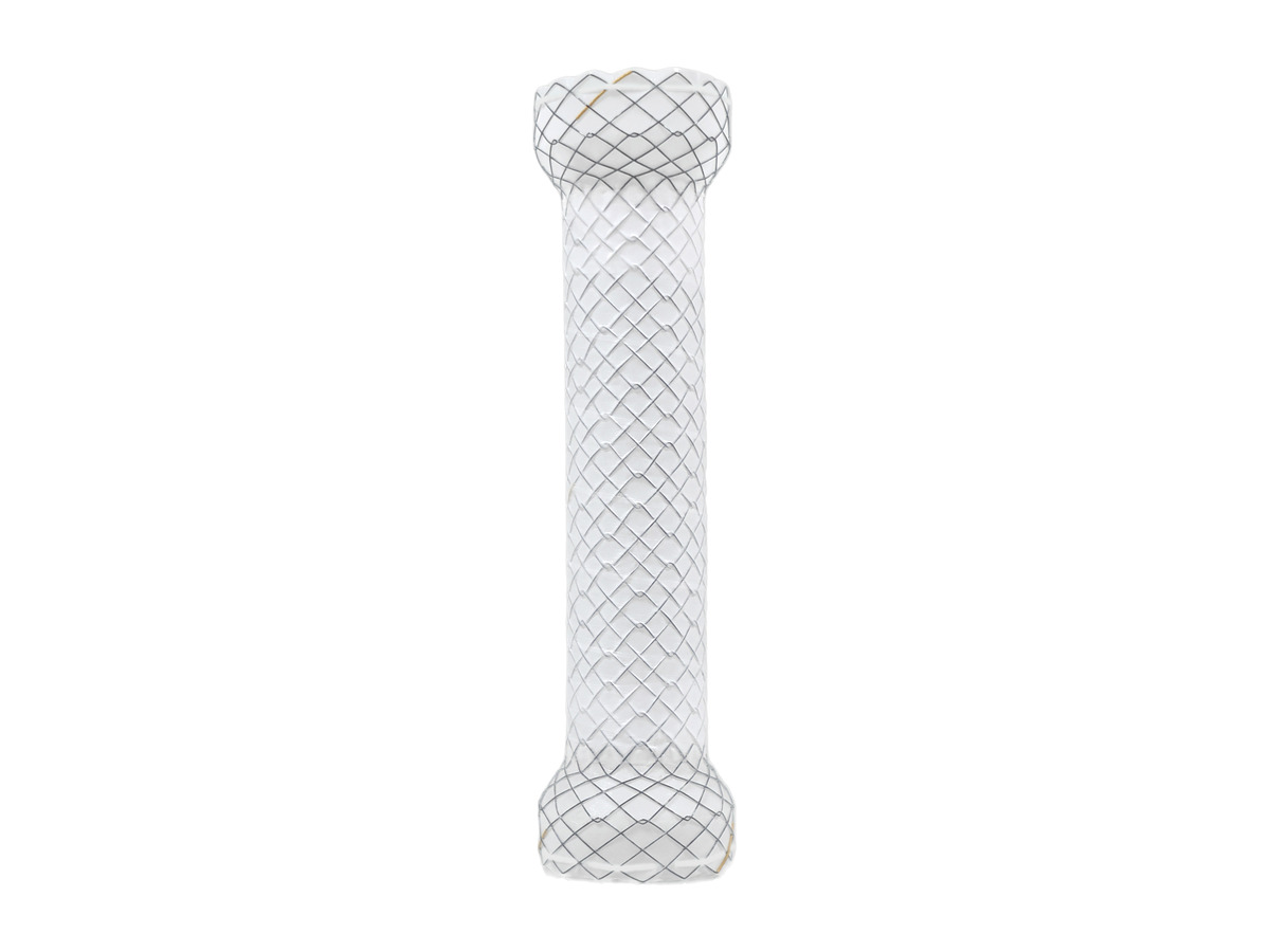 Hilzo™ TTS Esophageal Stent